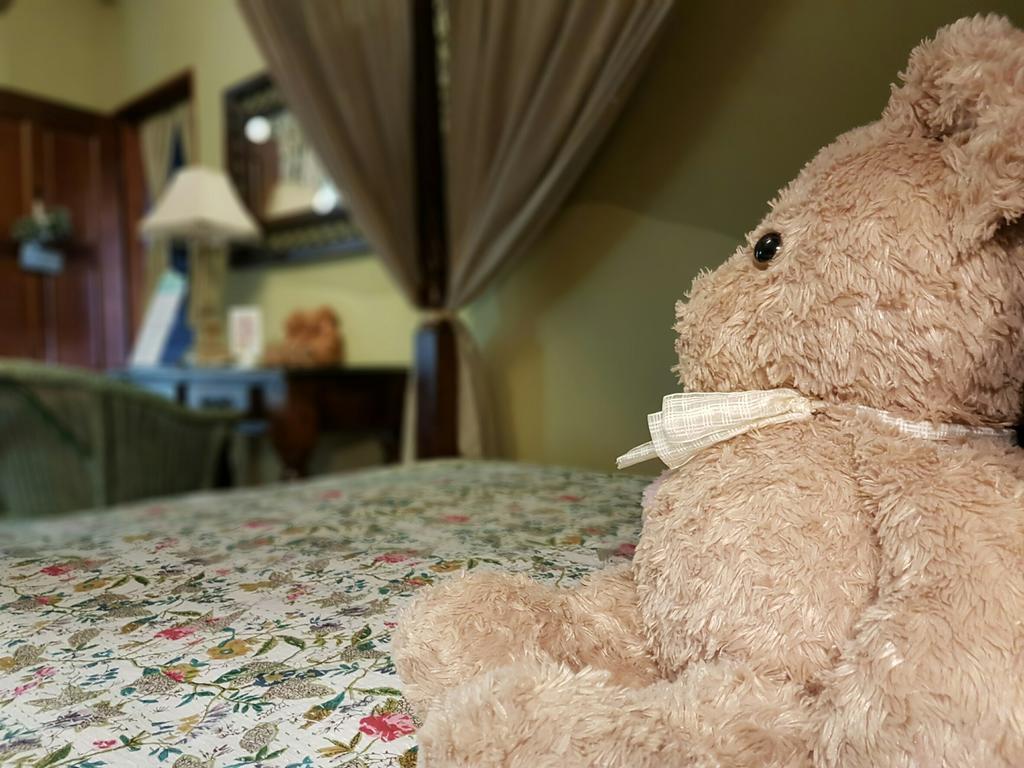 Bearbear Homestay Hualien Dış mekan fotoğraf
