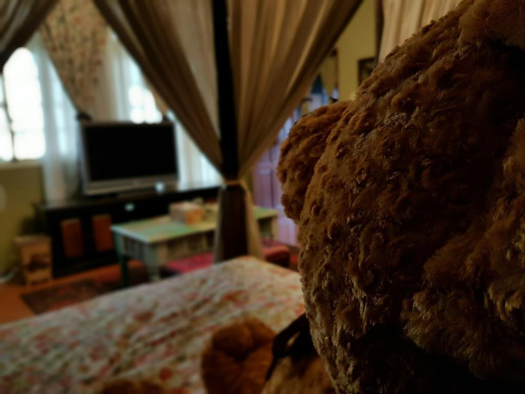 Bearbear Homestay Hualien Dış mekan fotoğraf