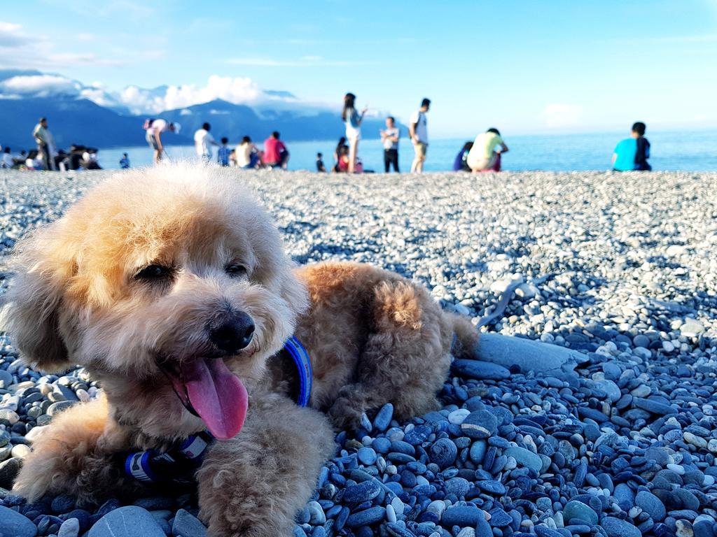 Bearbear Homestay Hualien Dış mekan fotoğraf