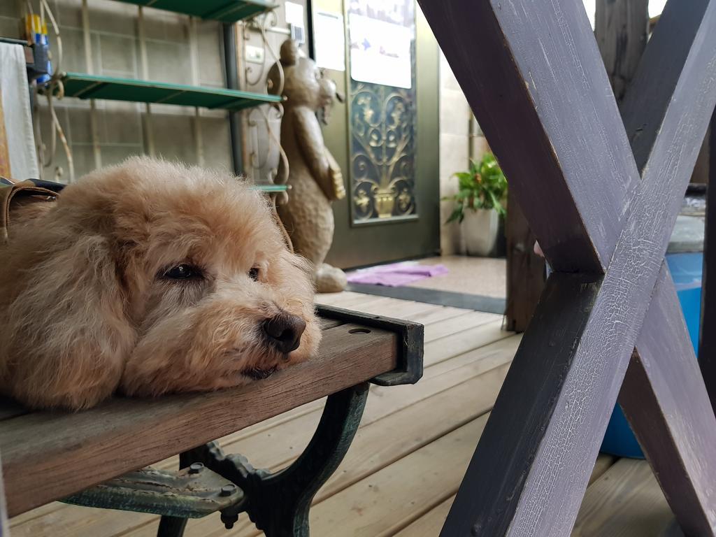 Bearbear Homestay Hualien Dış mekan fotoğraf