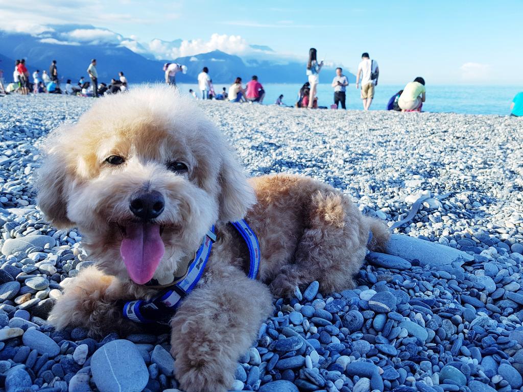 Bearbear Homestay Hualien Dış mekan fotoğraf
